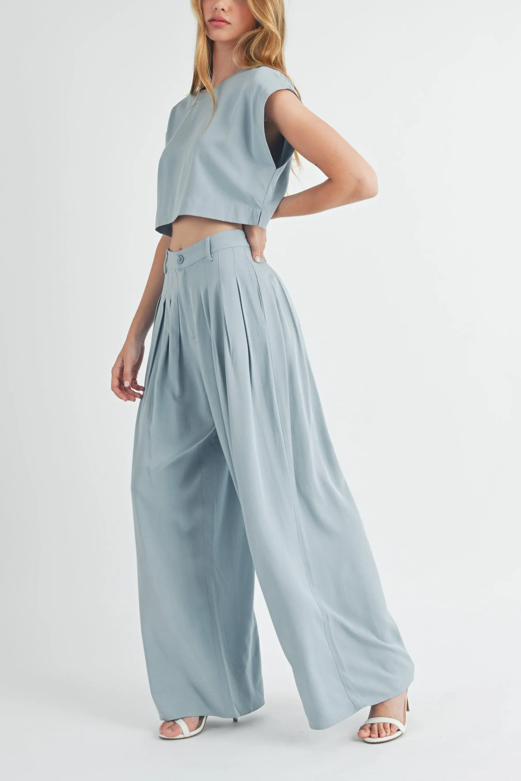 Simple Crop Top & Pleated Wide Leg Pants sold by Evercado product image thumbnail 2
