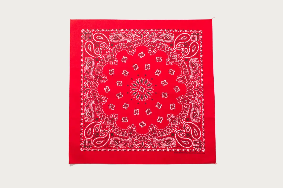 Hav-A-Hank Paisley Bandana - Red sold by Heddels Shop