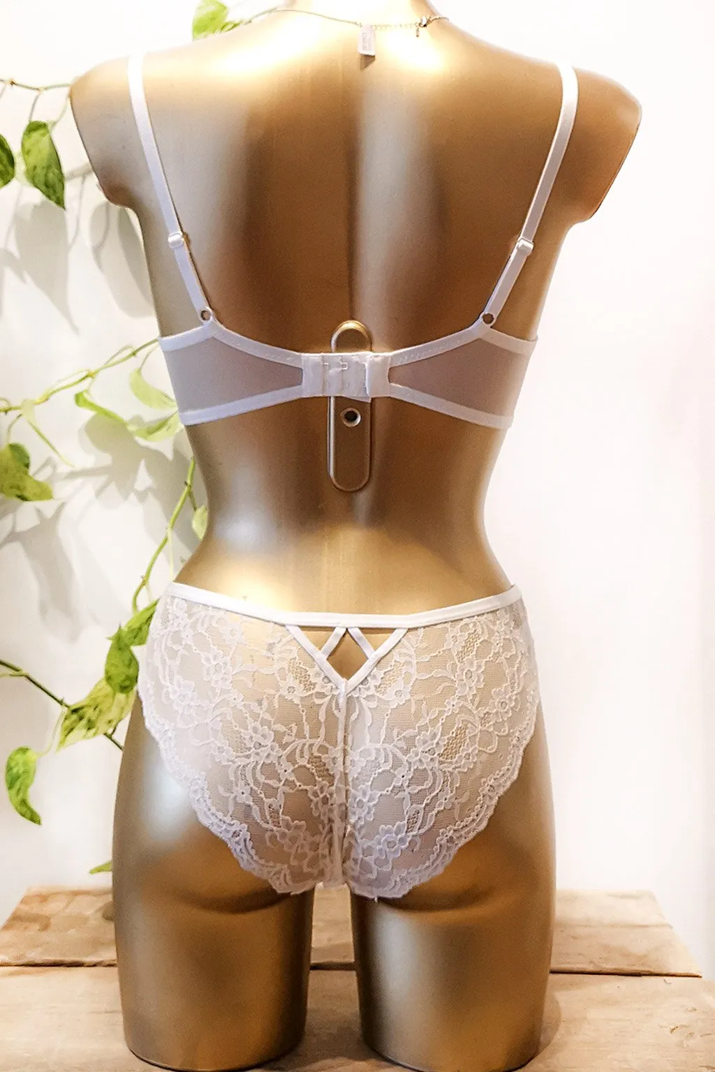 Lingerie Eden White Bra sold by KEMMI collection product image thumbnail 3