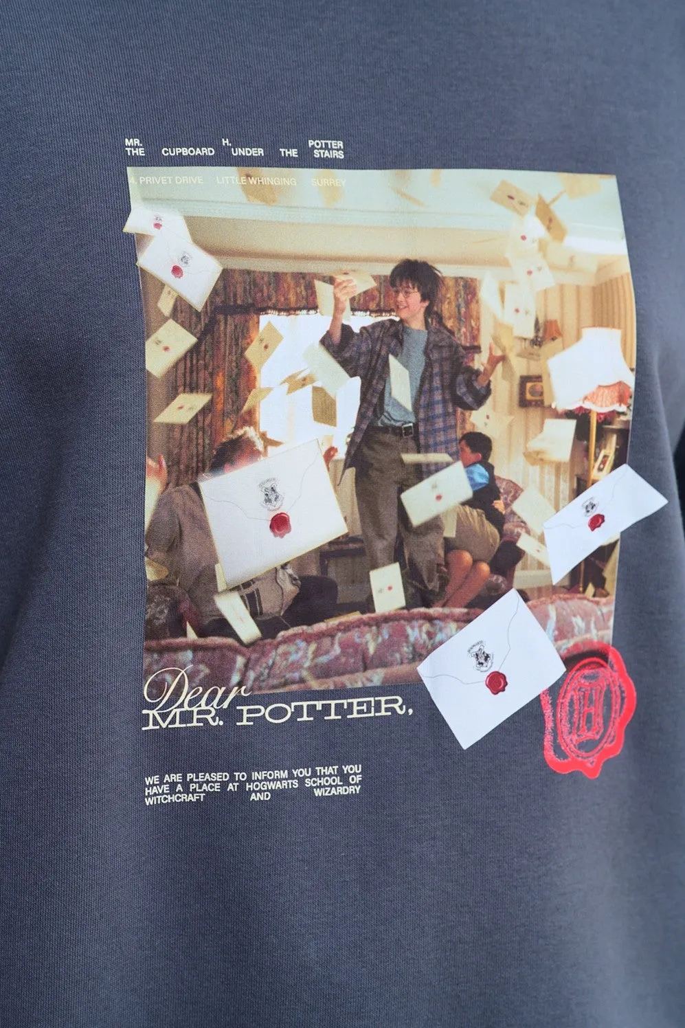 Bluza Dear Potter sold by Naoko product image thumbnail 2