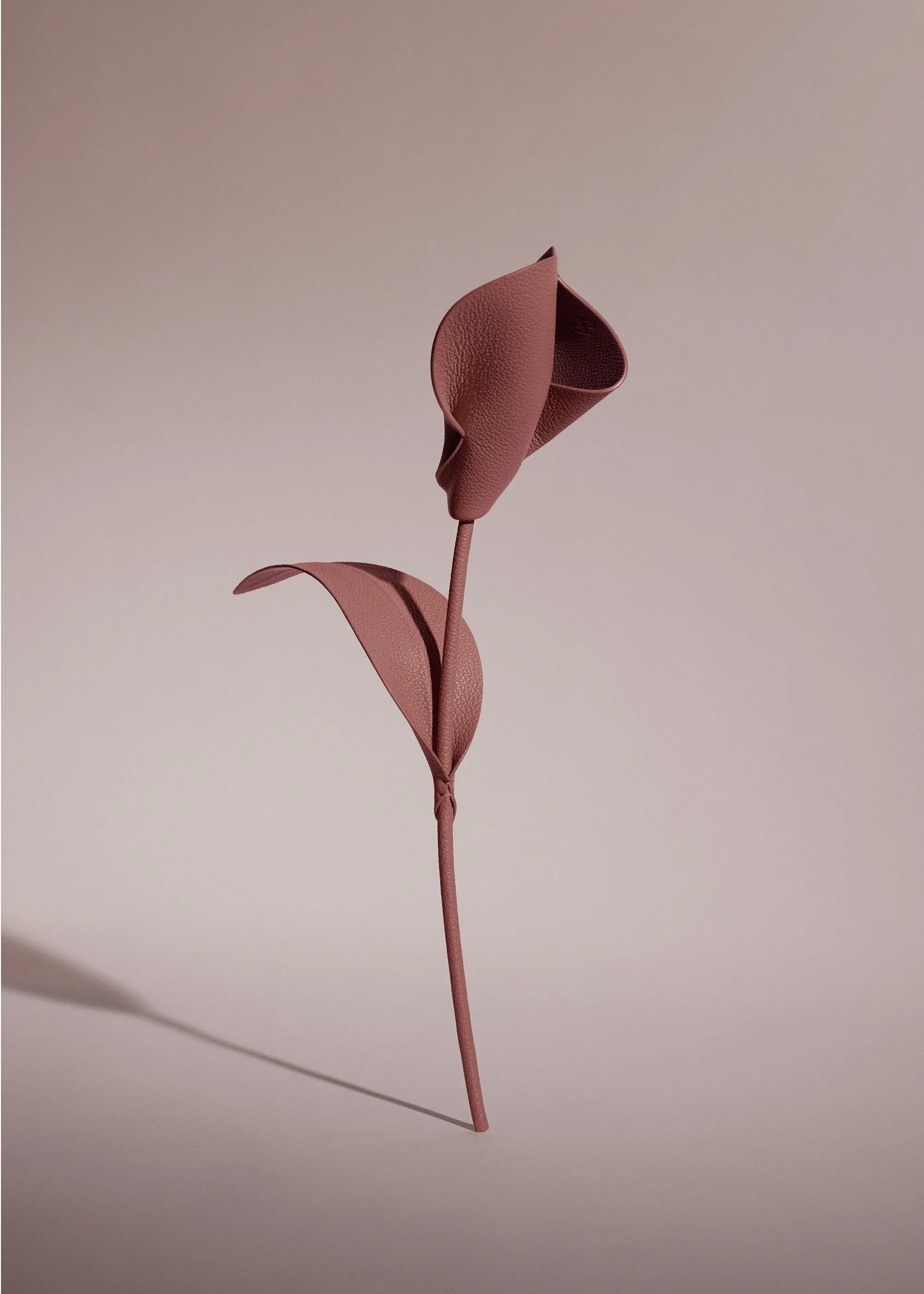 Pili Flower - Lilac sold by Polène product image thumbnail 2