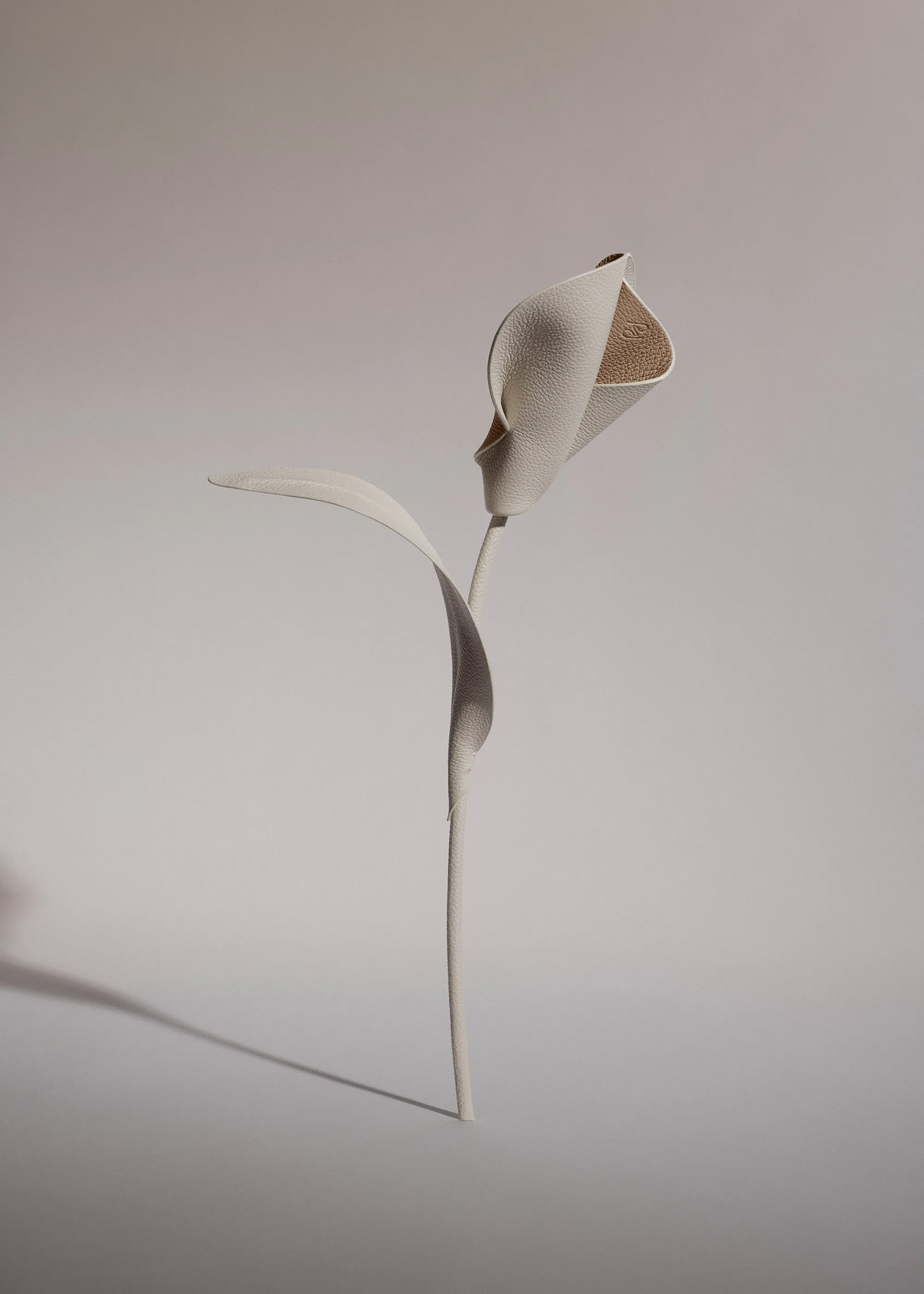 Pili Flower - Chalk sold by Polène product image thumbnail 2