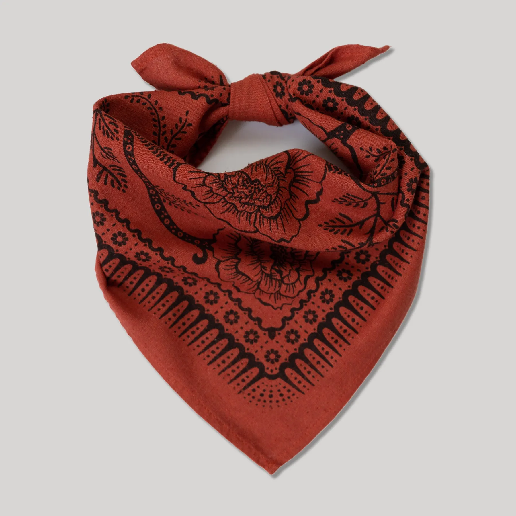 Natural Dye Silk Bandana | Madder Ramble sold by Last Chance Textiles product image thumbnail 2