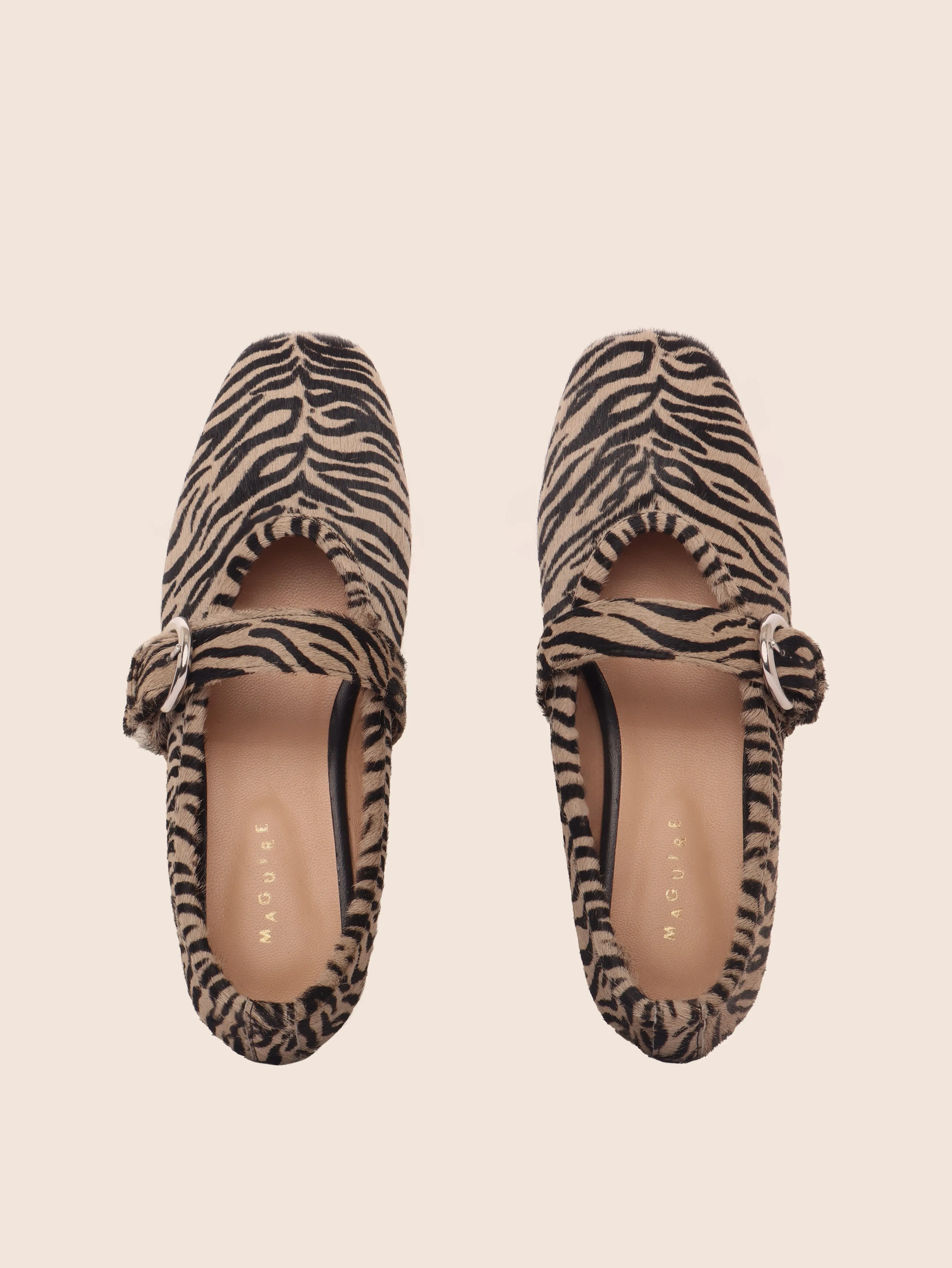 Aveiro Zebra Ballerina sold by Maguire Shoes product image thumbnail 4