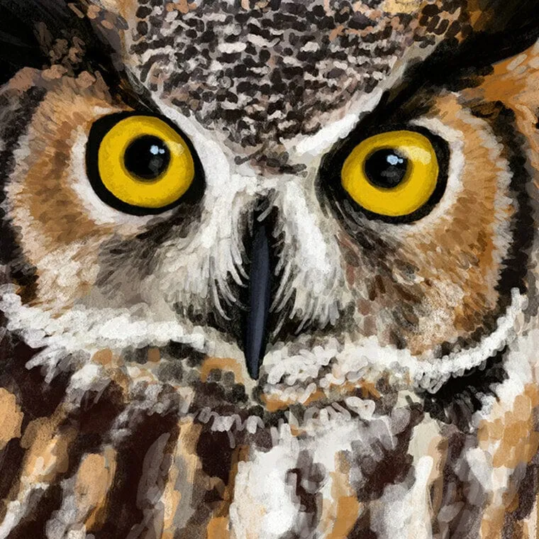 Alberta Great Horned Owl Provincial Bird T-shirt sold by Black Maple Trading product image thumbnail 4