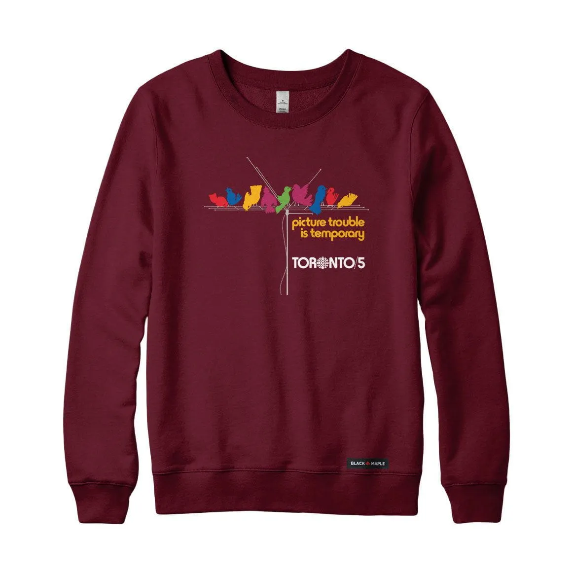 Picture Trouble Toronto 5 Sweatshirt or Hoodie sold by Black Maple Trading product image thumbnail 4