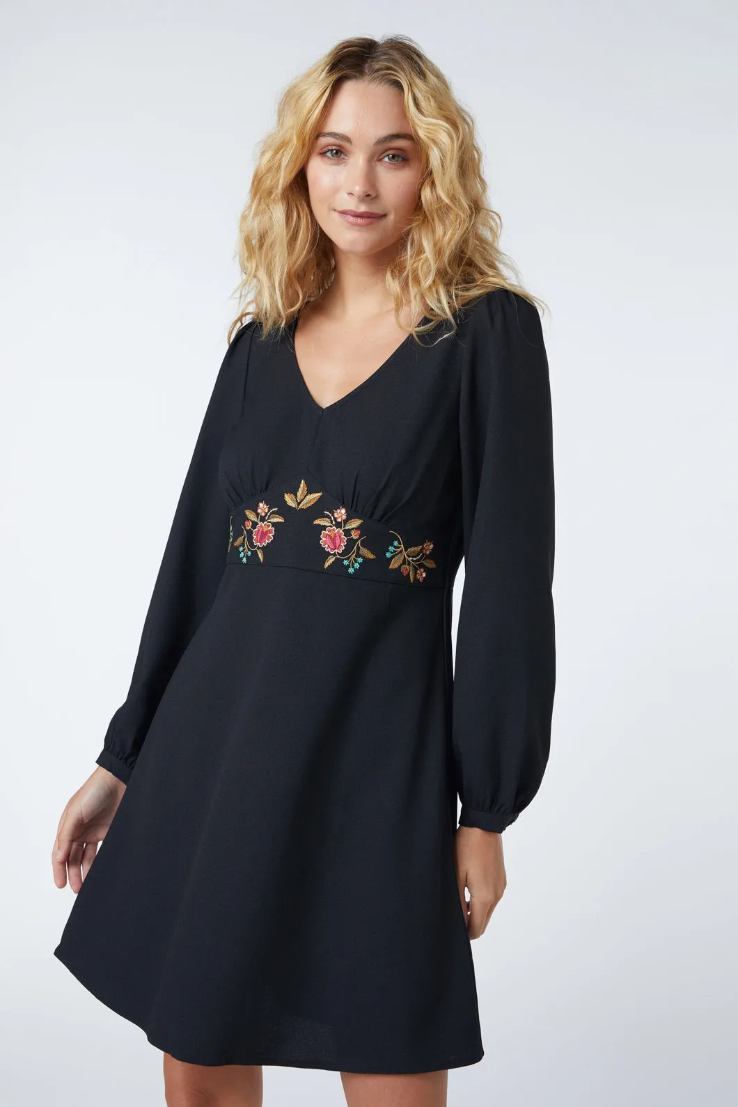 Florence Embroidered Dress sold by Princess Highway product image thumbnail 2