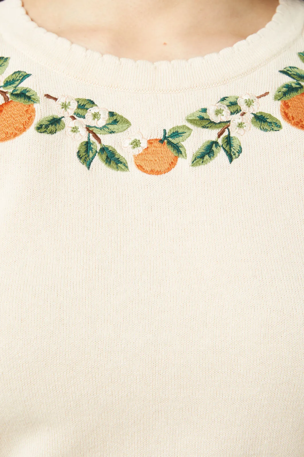 Oranges Knit Top sold by Princess Highway product image thumbnail 5