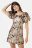 Champagne Dress sold by Princess Highway