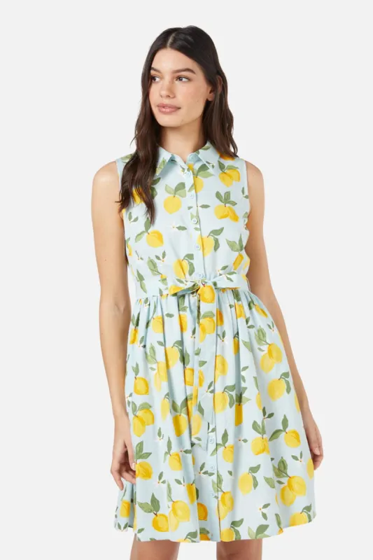 Lemon Shirt Dress sold by Princess Highway