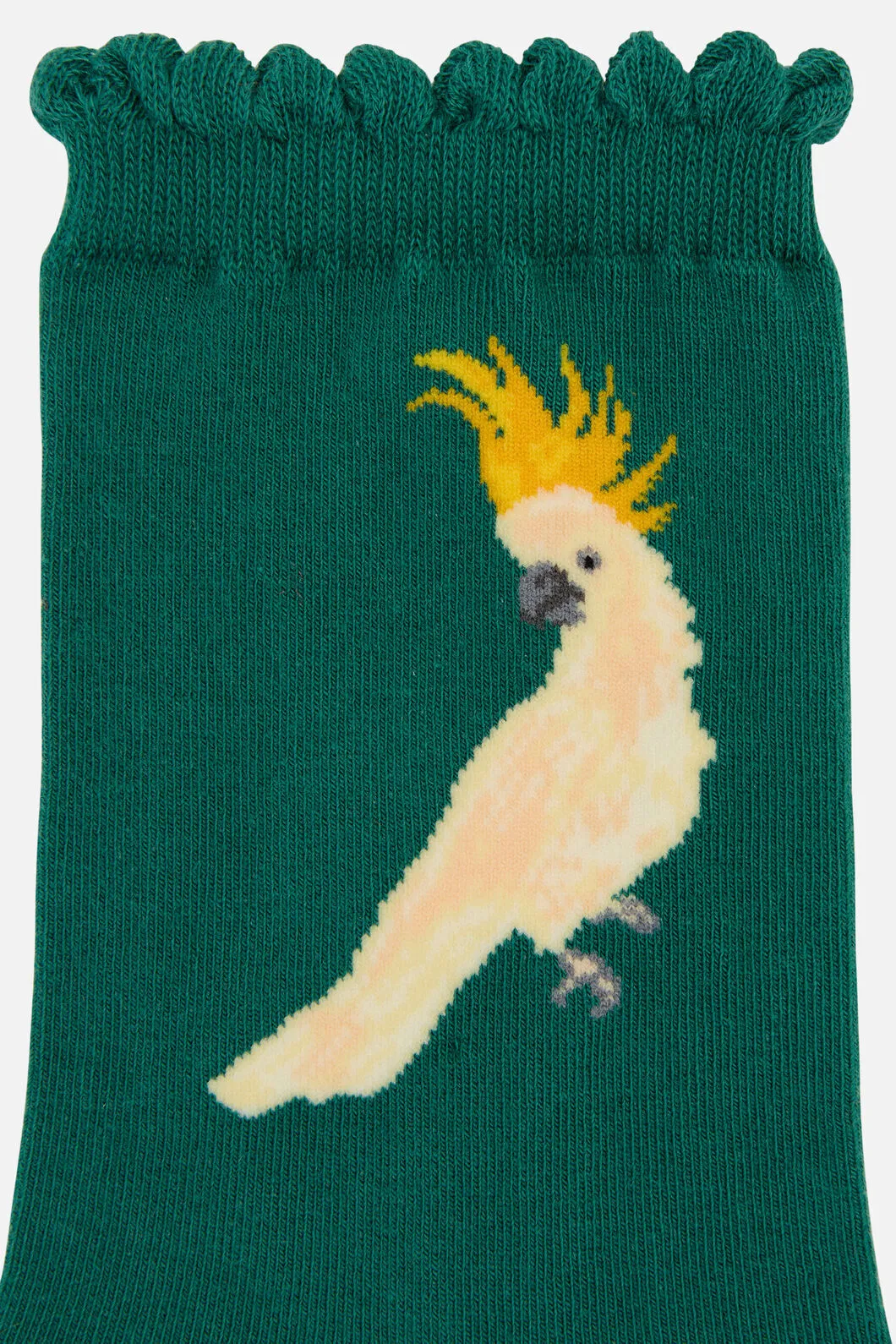 Cockatoo Sock sold by Princess Highway product image thumbnail 2