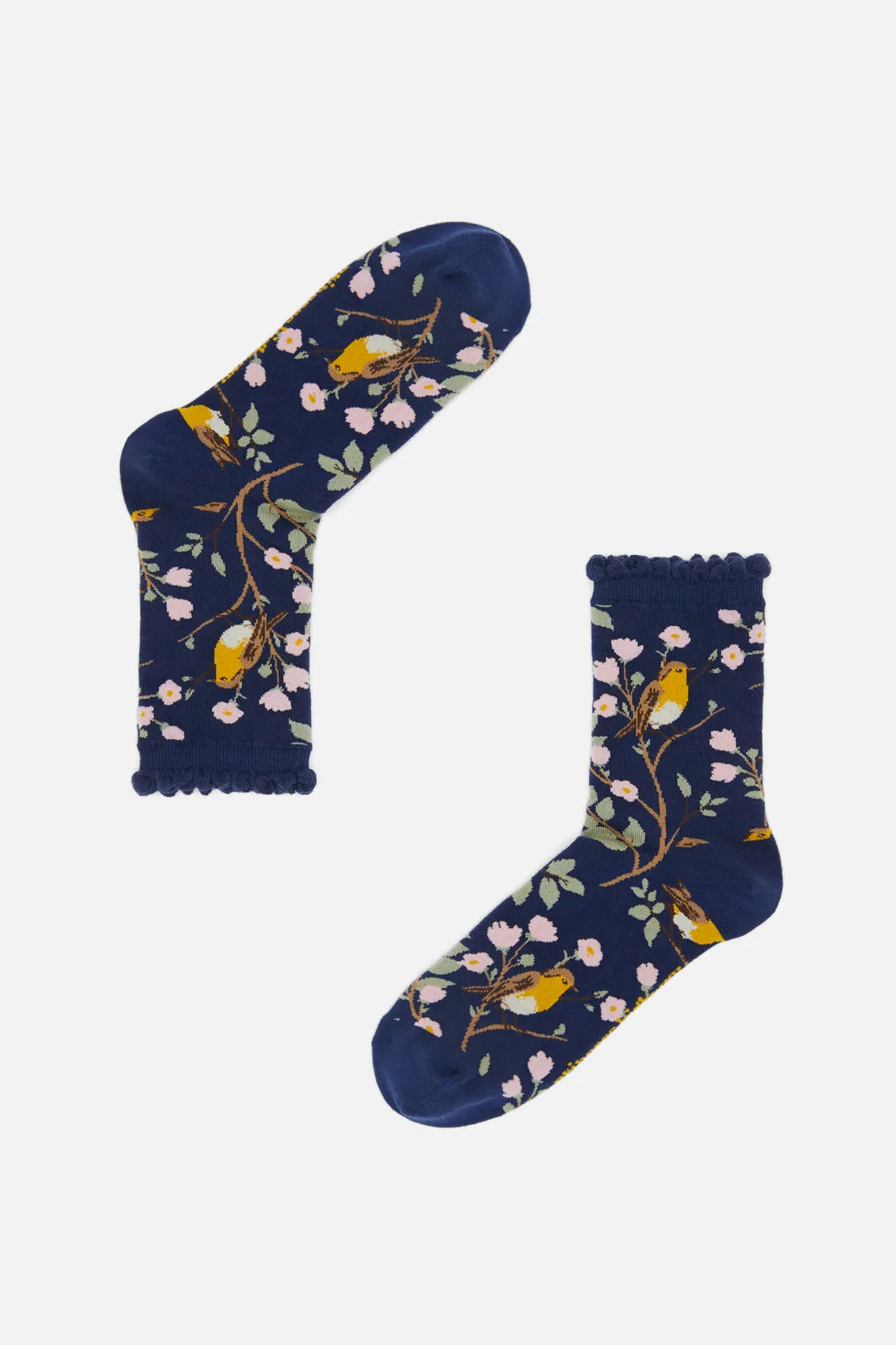 Navy Robin Sock sold by Princess Highway