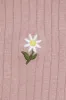 Classic Emb Daisy Socks sold by Princess Highway