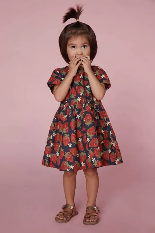 Strawberry Picnic Kids Dress sold by Princess Highway