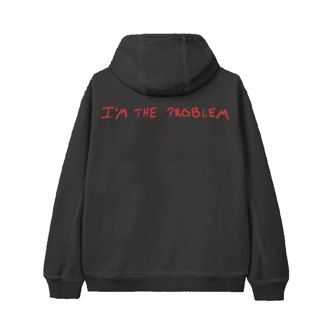 I’m The Problem Album Cover Hoodie sold by Morgan Wallen product image thumbnail 2