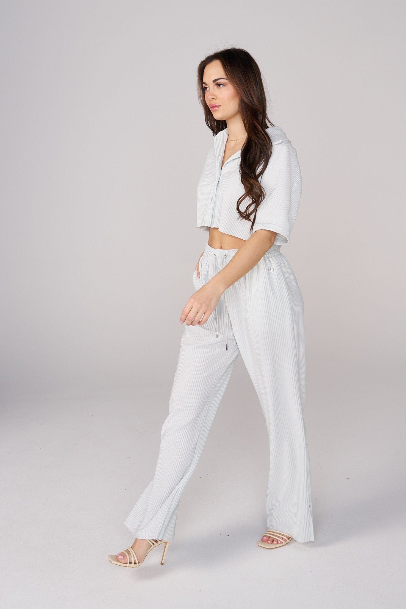 W244 Aria Pleated Pants sold by YoungLA product image thumbnail 4