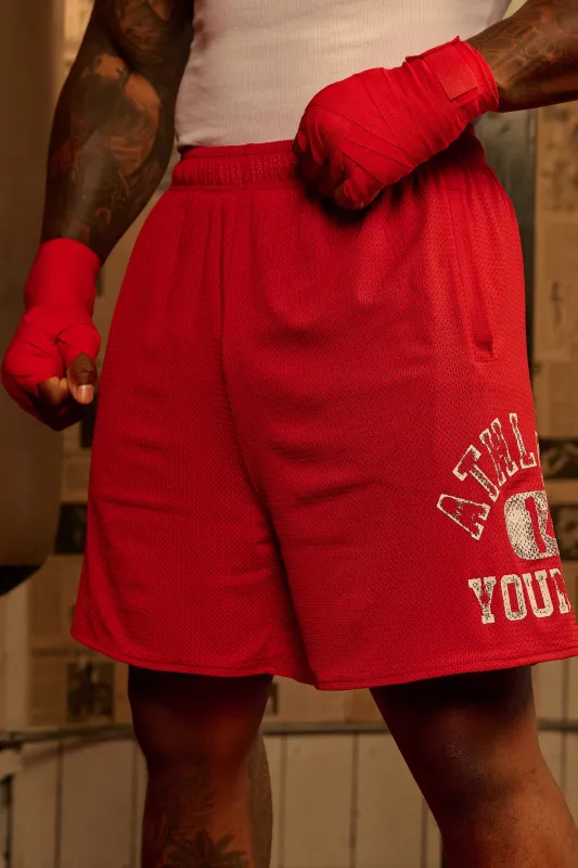 1069 - Golden Era Mesh Shorts made by YoungLA