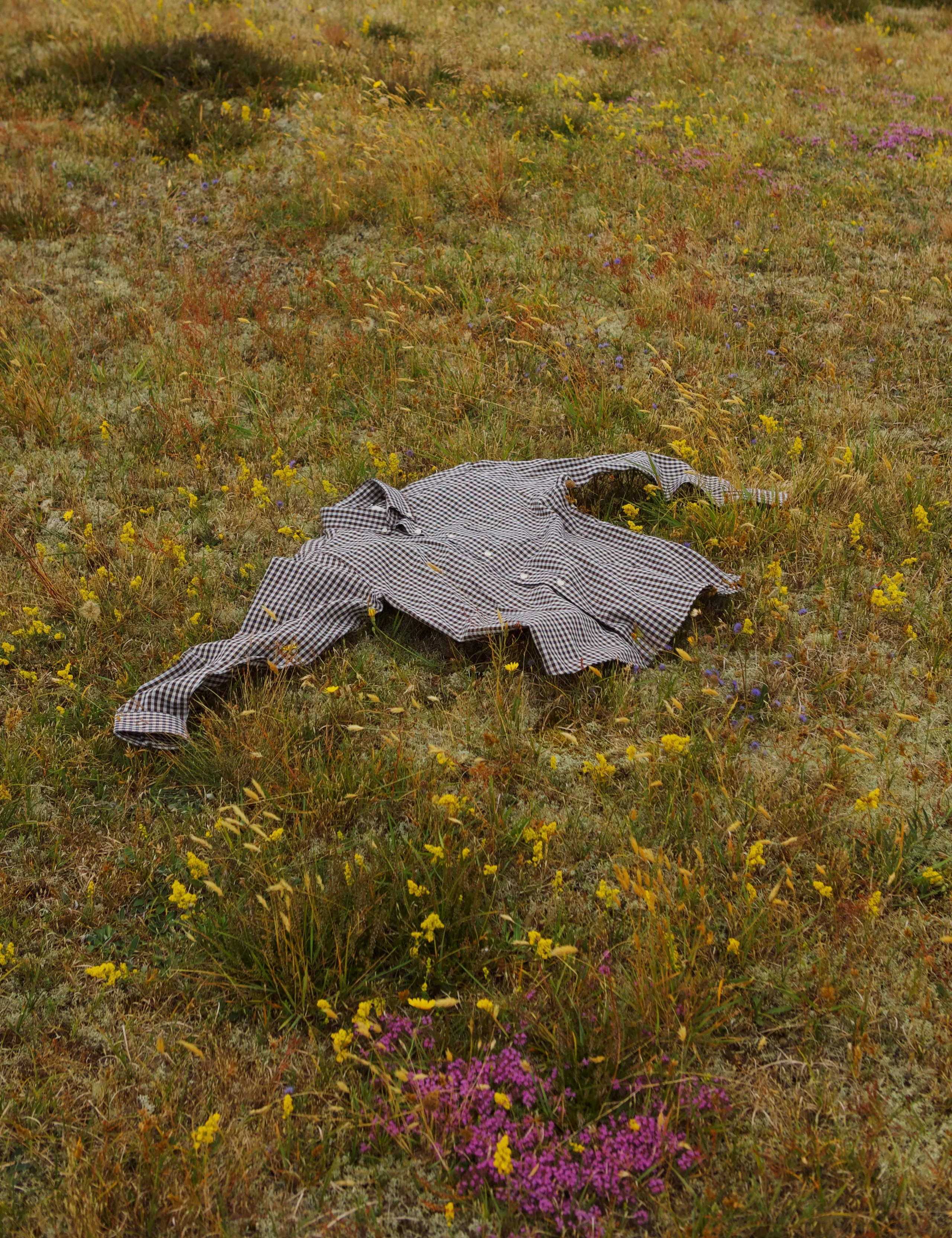 CAMP SHIRT - BROWN CHECK sold by Foret product image thumbnail 4