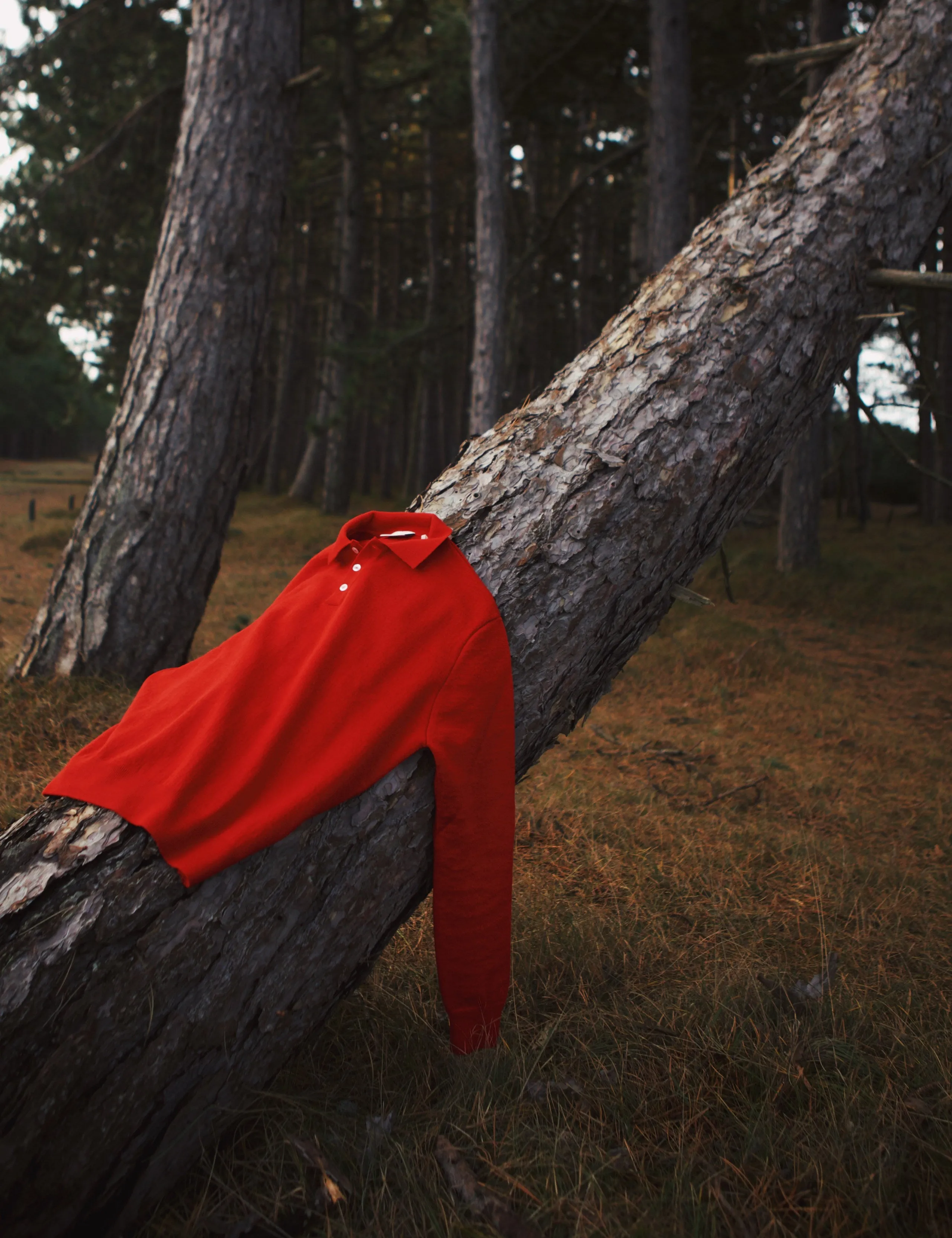 BASE MERINO POLO KNIT - RED sold by Foret product image thumbnail 5