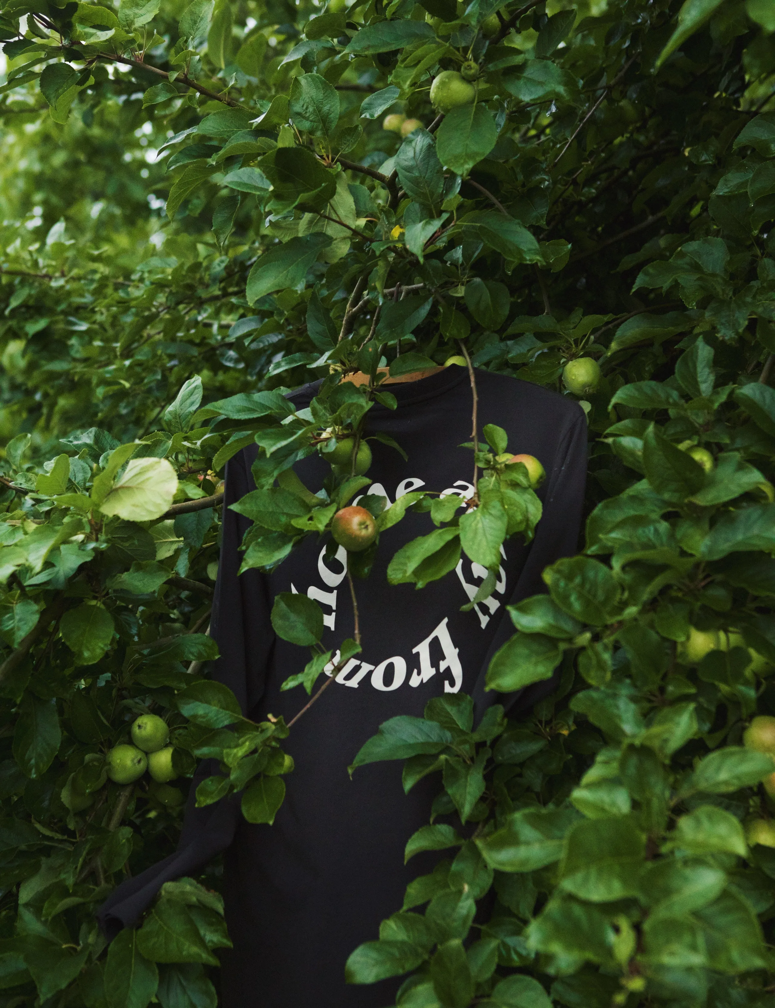 TURN LONGSLEEVE - WASHED BLACK sold by Foret product image thumbnail 5