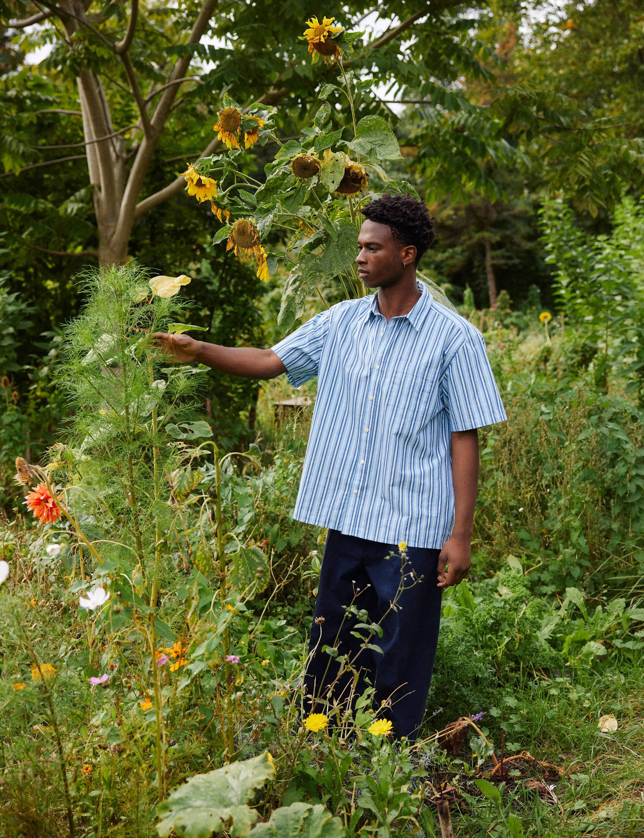 ATLAS POPLIN SHIRT - LIGHT BLUE STRIPE sold by Foret product image thumbnail 2
