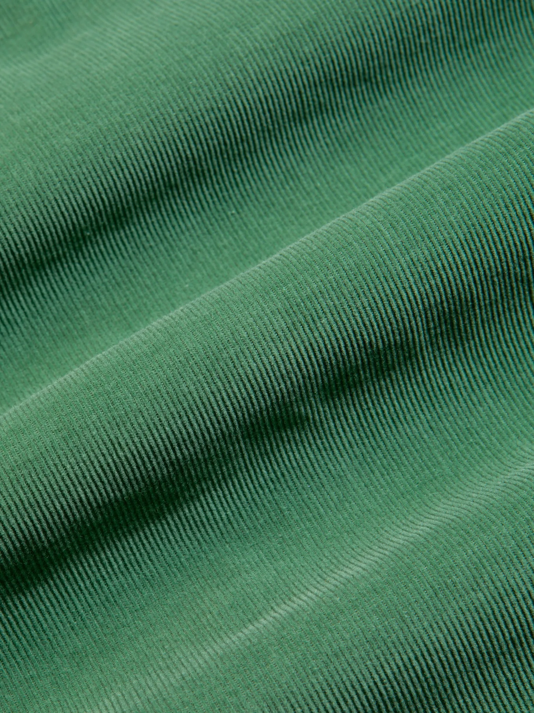 Inverness Short in Fern Needle Cord sold by Kestin product image thumbnail 3