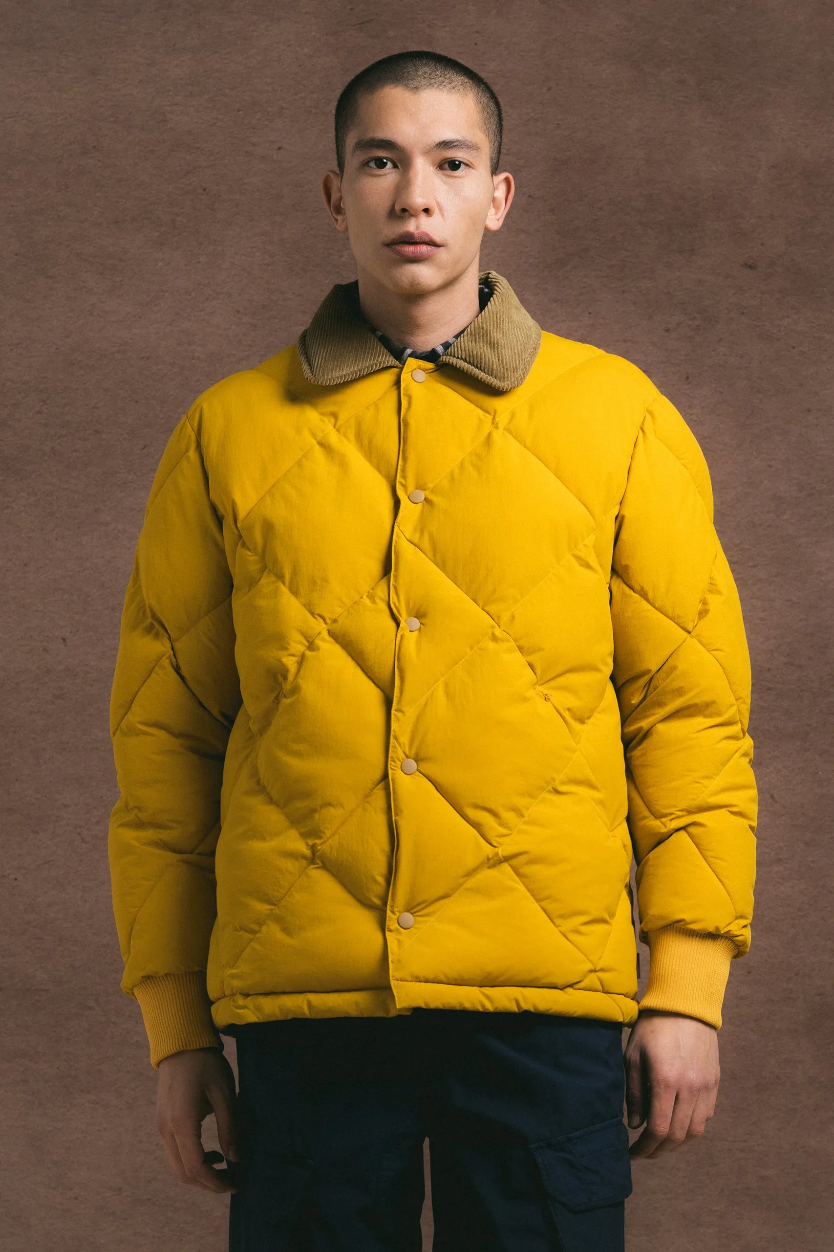 Dunbar Padded Jacket in Yellow Recycled Nylon sold by Kestin product image thumbnail 2