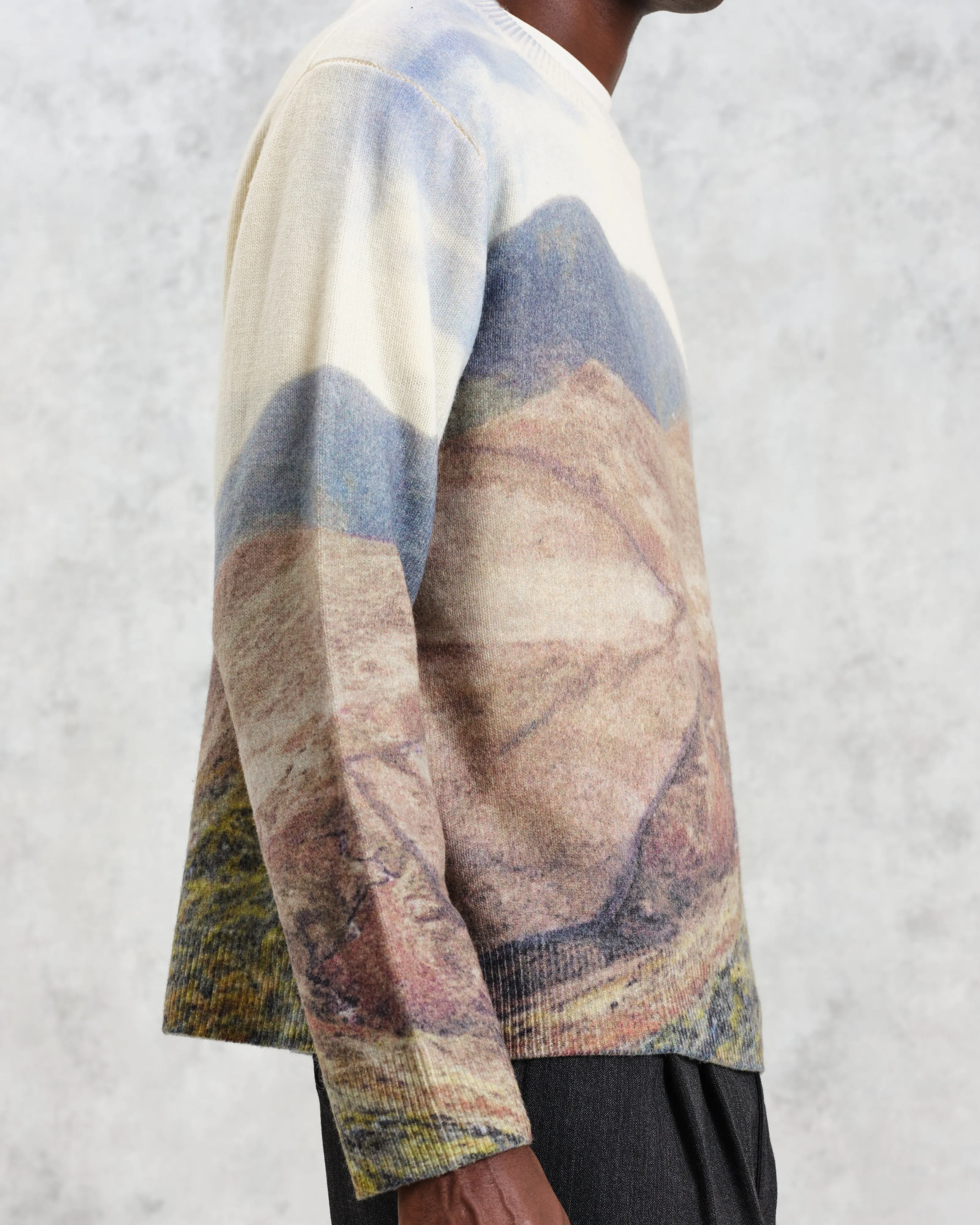 Wilde - Natural Landscape Print Wool Jumper sold by Wax London product image thumbnail 4