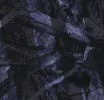 Classic Shorts sold by Dime