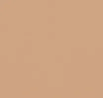 Classic Decoy Hoodie sold by Dime product image thumbnail 3