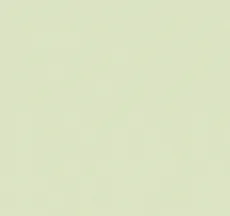 Classic Dimecraft T-Shirt sold by Dime product image thumbnail 3