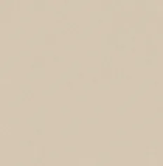 Sunday T-Shirt sold by Dime product image thumbnail 3