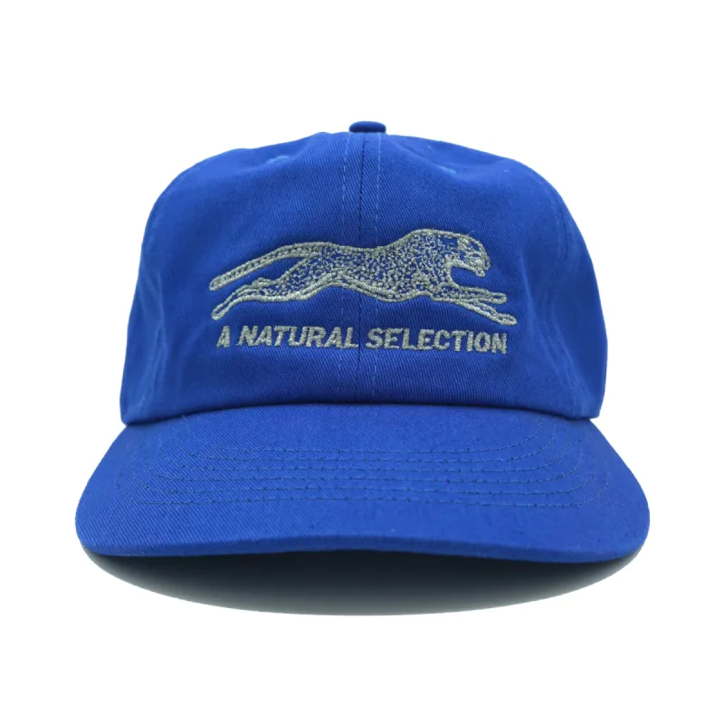 Brother Brother Natural (R)e(f)lection Cap made by Brother Brother