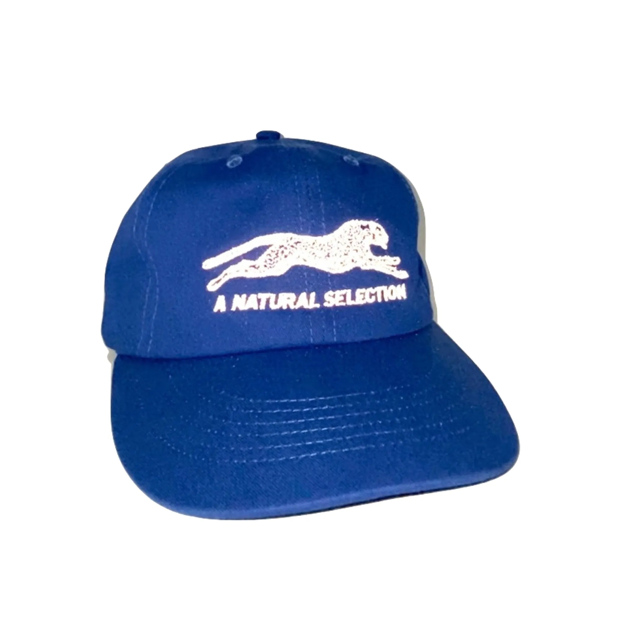Brother Brother Natural (R)e(f)lection Cap sold by Brother Brother product image thumbnail 3