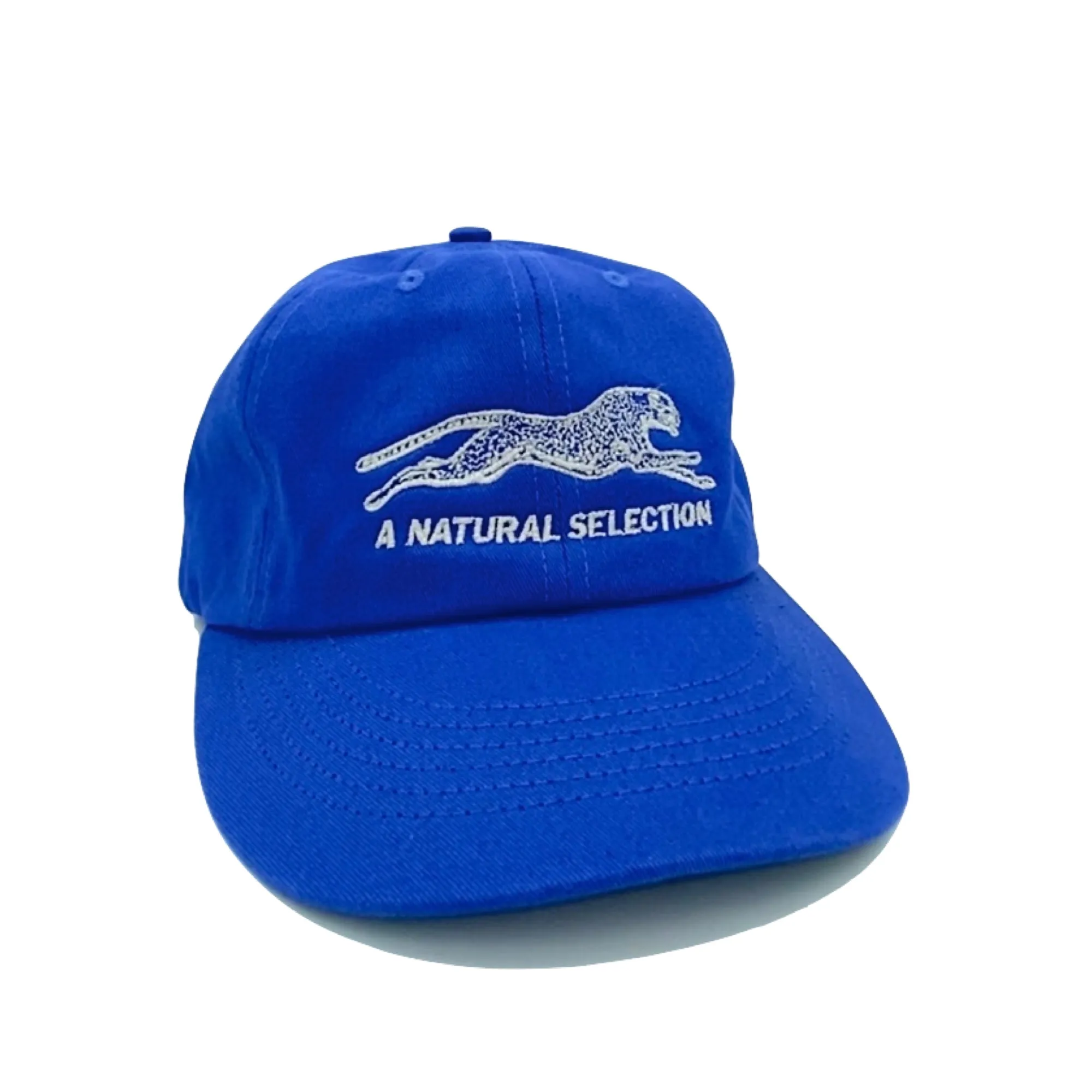 Brother Brother Natural (R)e(f)lection Cap sold by Brother Brother product image thumbnail 2