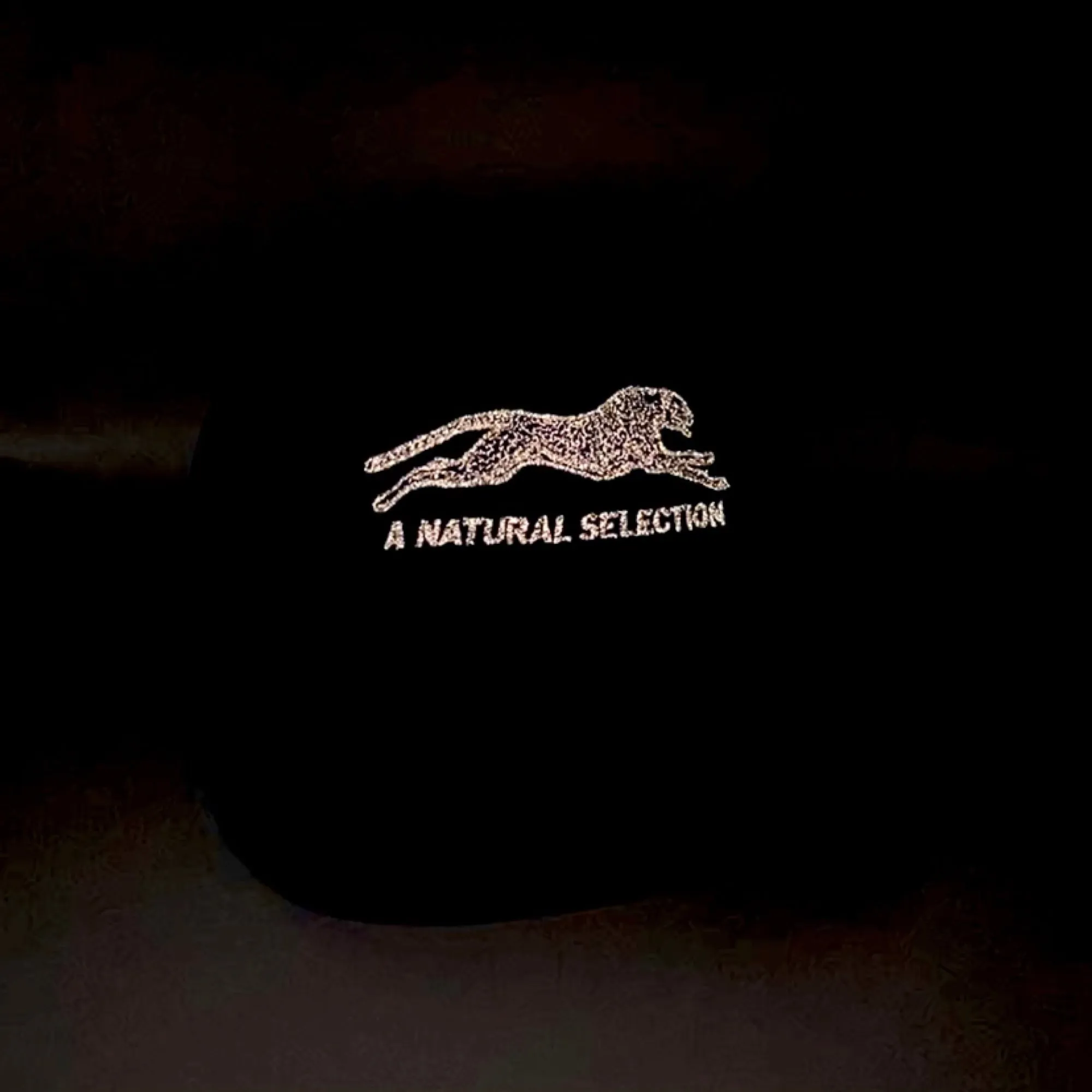 Brother Brother Natural (R)e(f)lection Cap sold by Brother Brother product image thumbnail 4