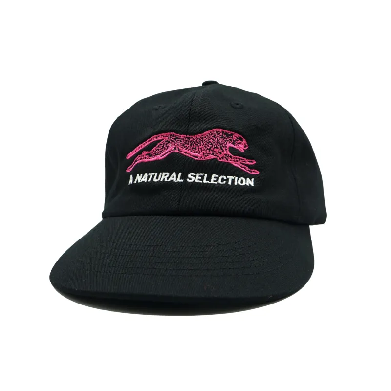 Brother Brother Natural Selection 2-Tone Cap sold by Brother Brother