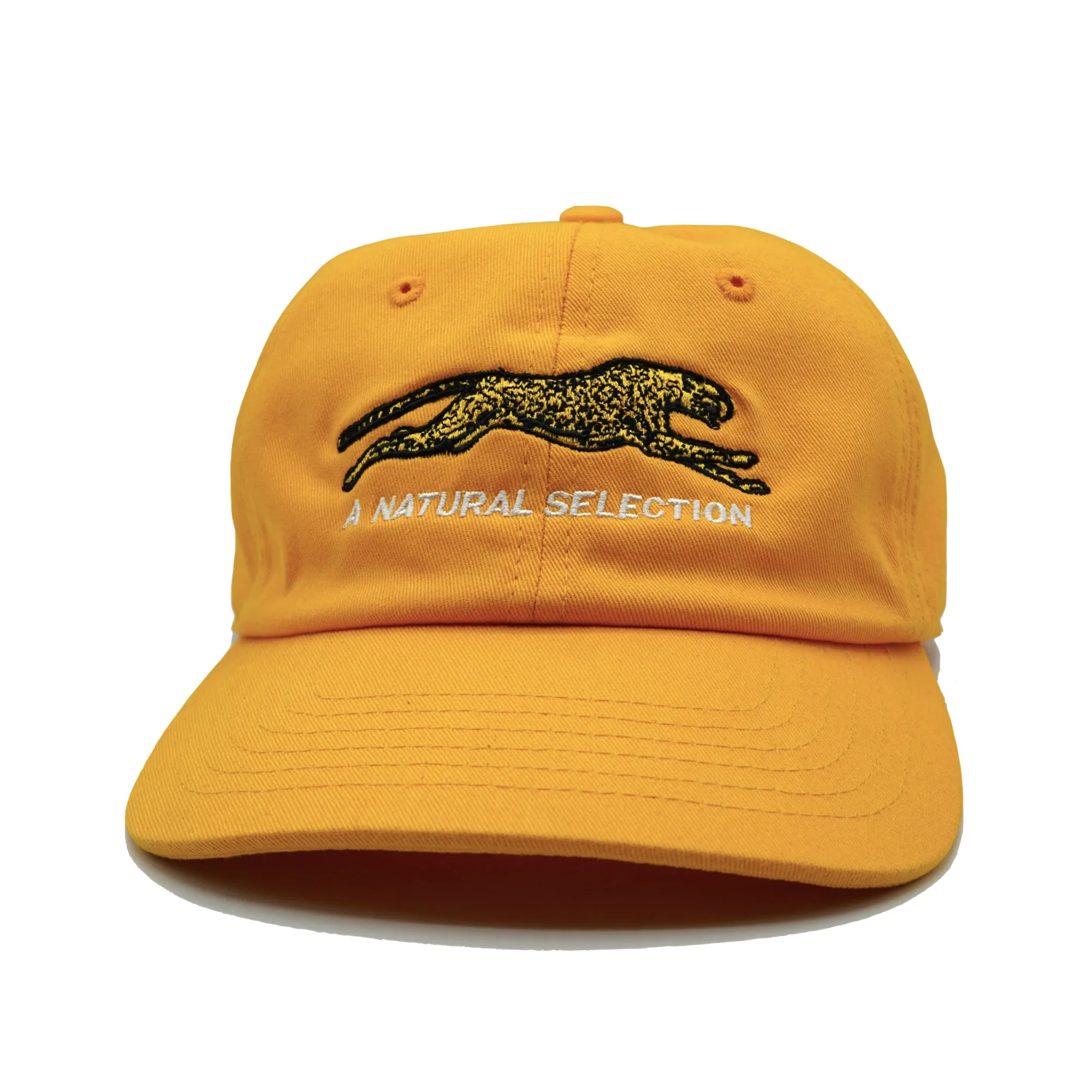 Brother Brother Technicolor Selection Cap sold by Brother Brother