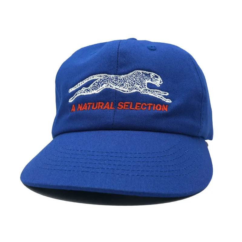Brother Brother Natural Selection 2-Tone Cap sold by Brother Brother
