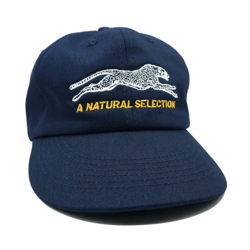 Brother Brother Natural Selection 2-Tone Cap sold by Brother Brother