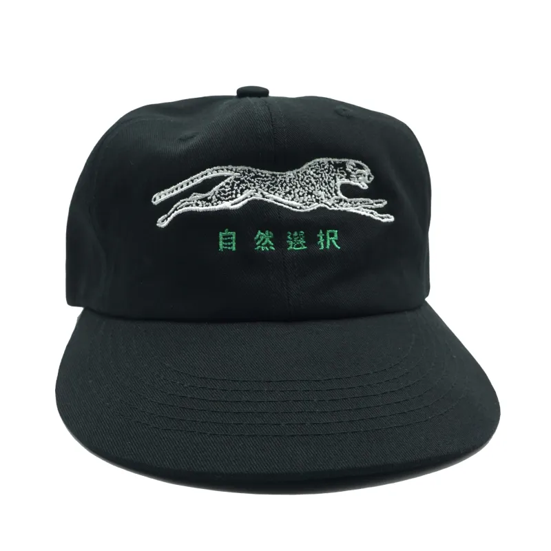 Brother Brother Natural Kanji Selection 2-Tone Cap made by Brother Brother