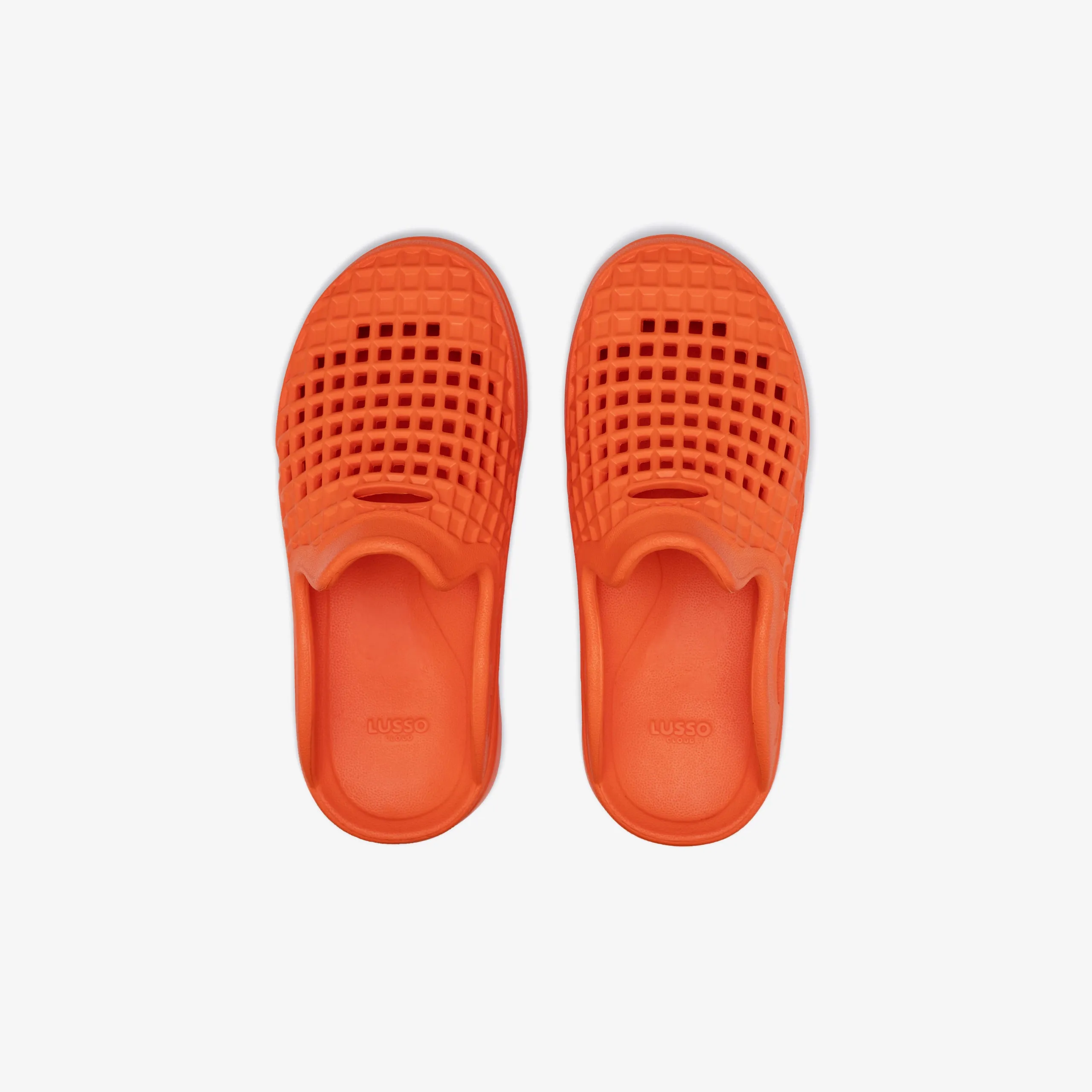 Scenario Slide - Carrot sold by Lusso Cloud product image thumbnail 4