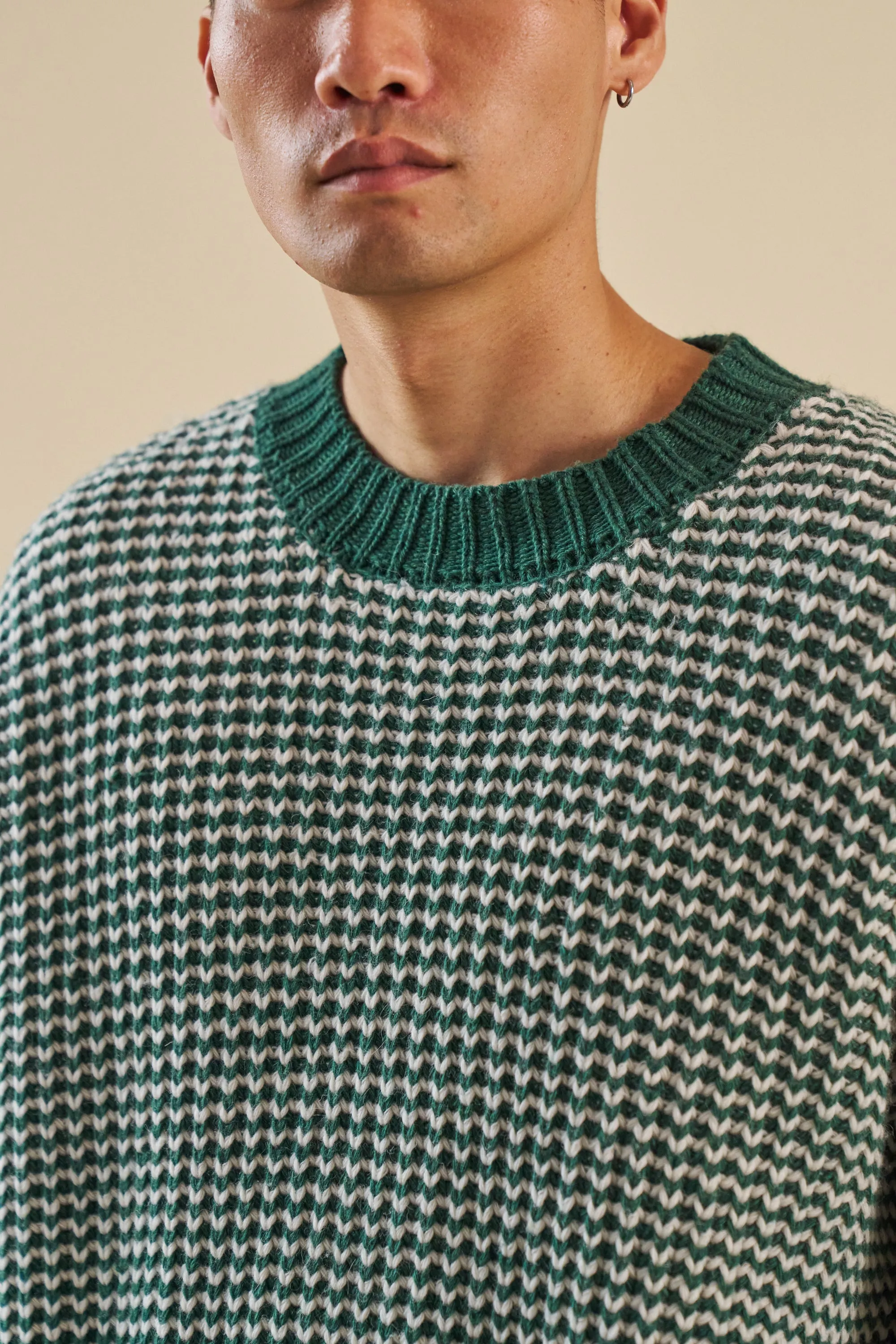 GREEN STRIPE CHUNKY KNIT RIB OVERSIZED SWEATER sold by Bound product image thumbnail 5