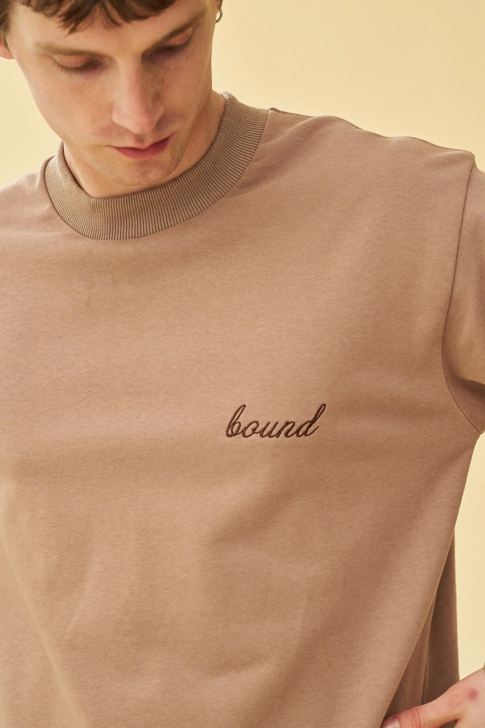 SCRIPT LONGSLEEVE HEAVY TEE - CHESTNUT sold by Bound product image thumbnail 3