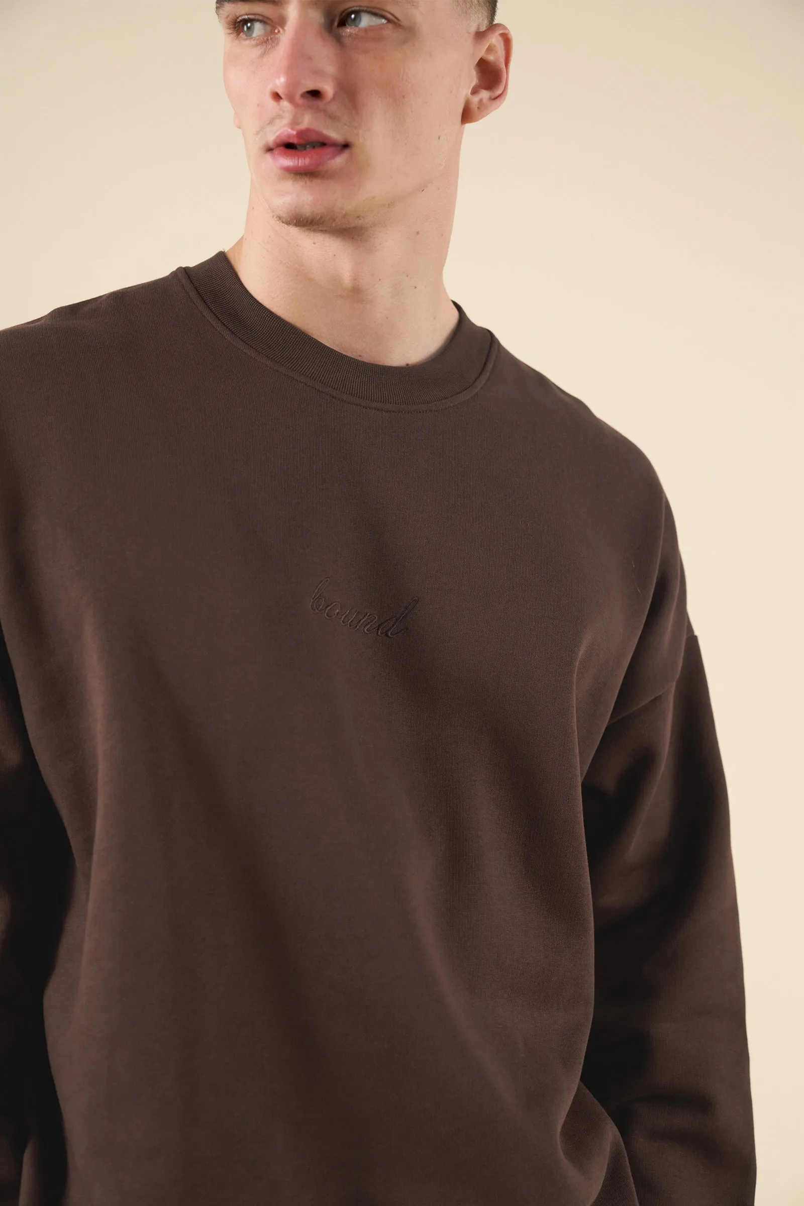 SUSTAIN HEAVY SWEATER - COCOA BROWN sold by Bound product image thumbnail 4