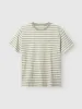 Dune Logo Stripes SS GOTS - Green Stripe sold by Gabba
