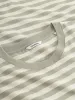 Dune Logo Stripes SS GOTS - Green Stripe sold by Gabba