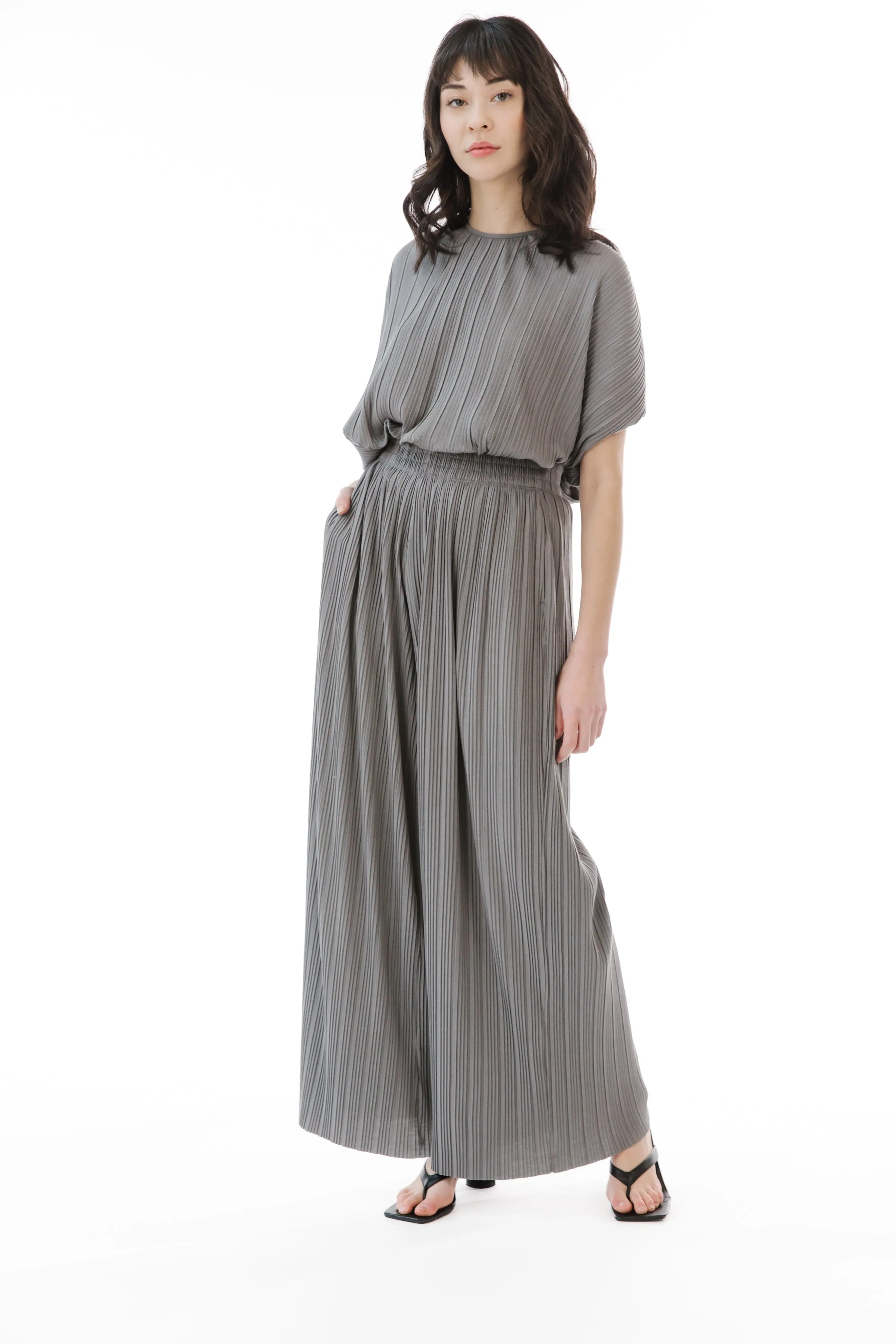 OLIVER PLEATED WIDE LEG PANT sold by PAPER LABEL product image thumbnail 2
