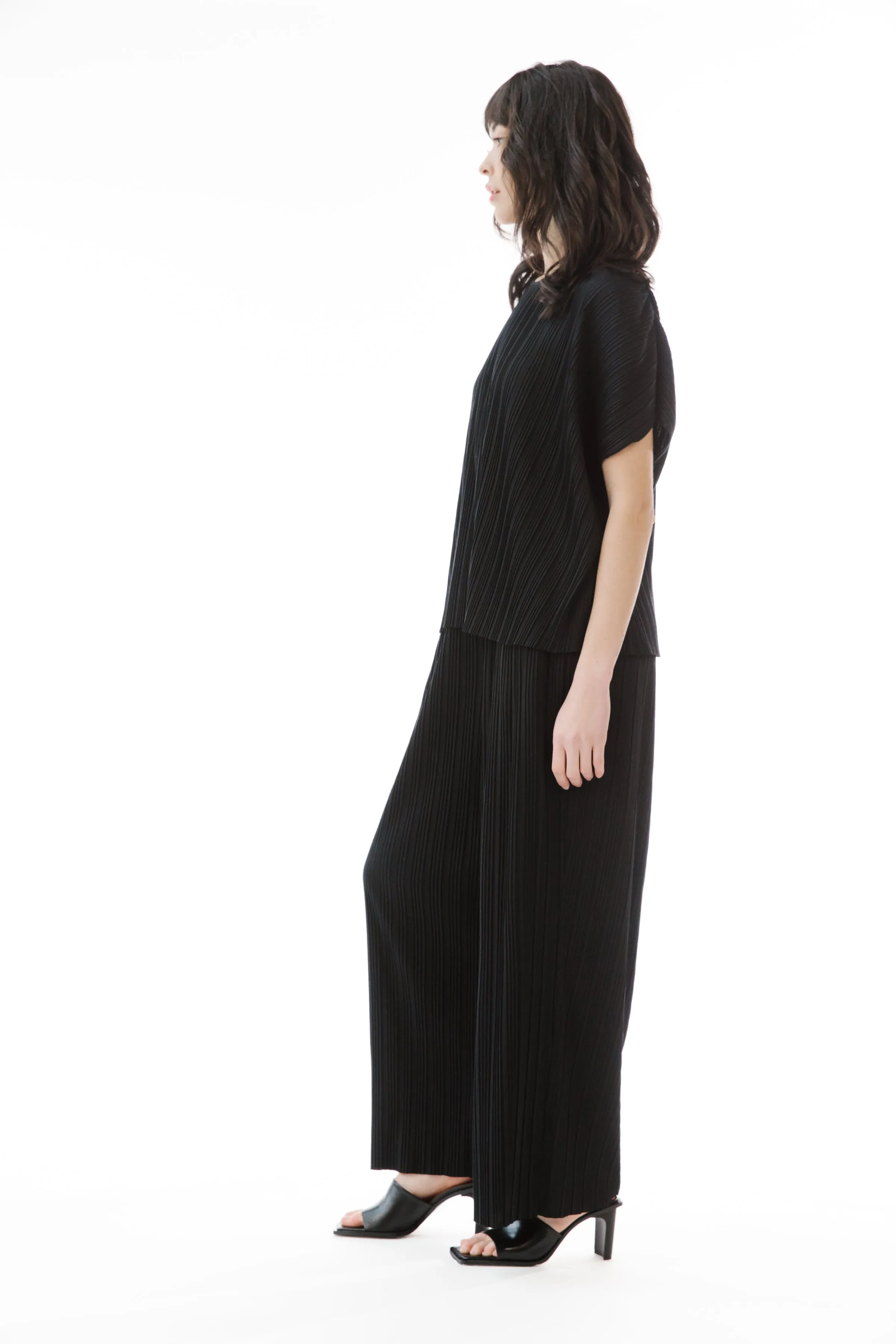 OLIVER PLEATED WIDE LEG PANT sold by PAPER LABEL product image thumbnail 5