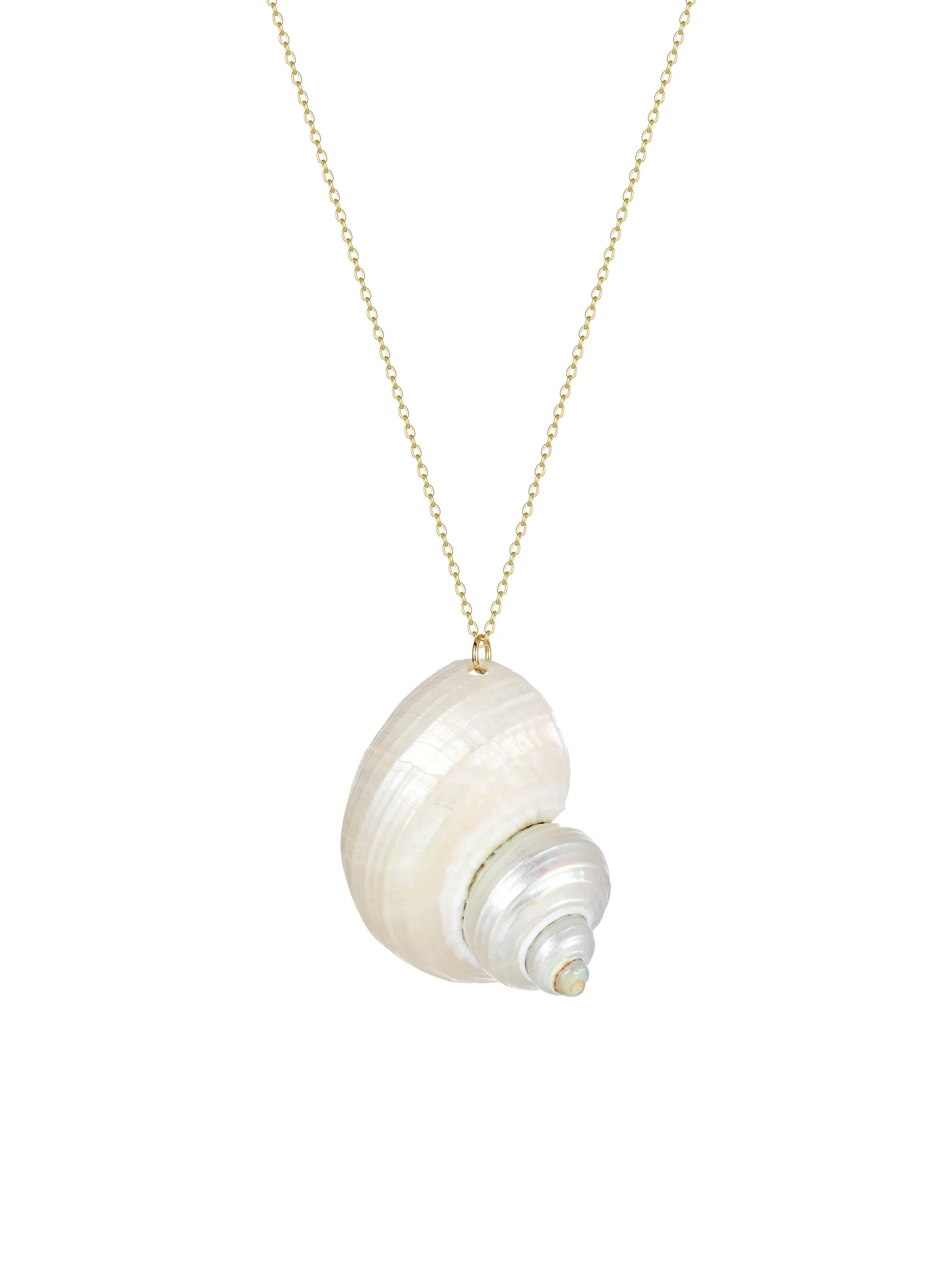 Natural Shell Necklace sold by Regina jewelry product image thumbnail 3
